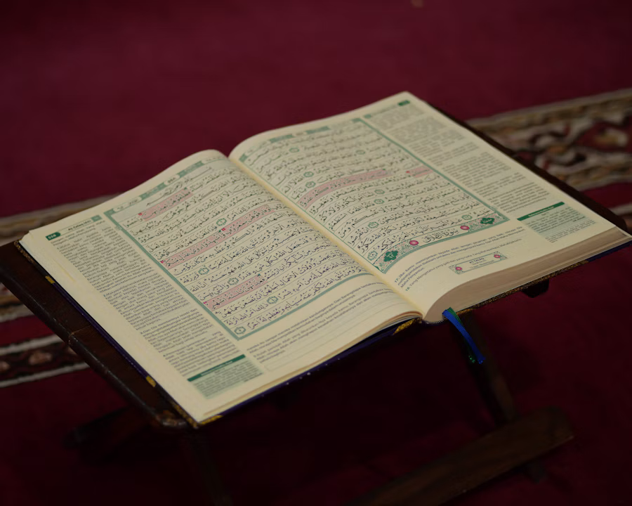 Quran study for understanding translation and Tafseer